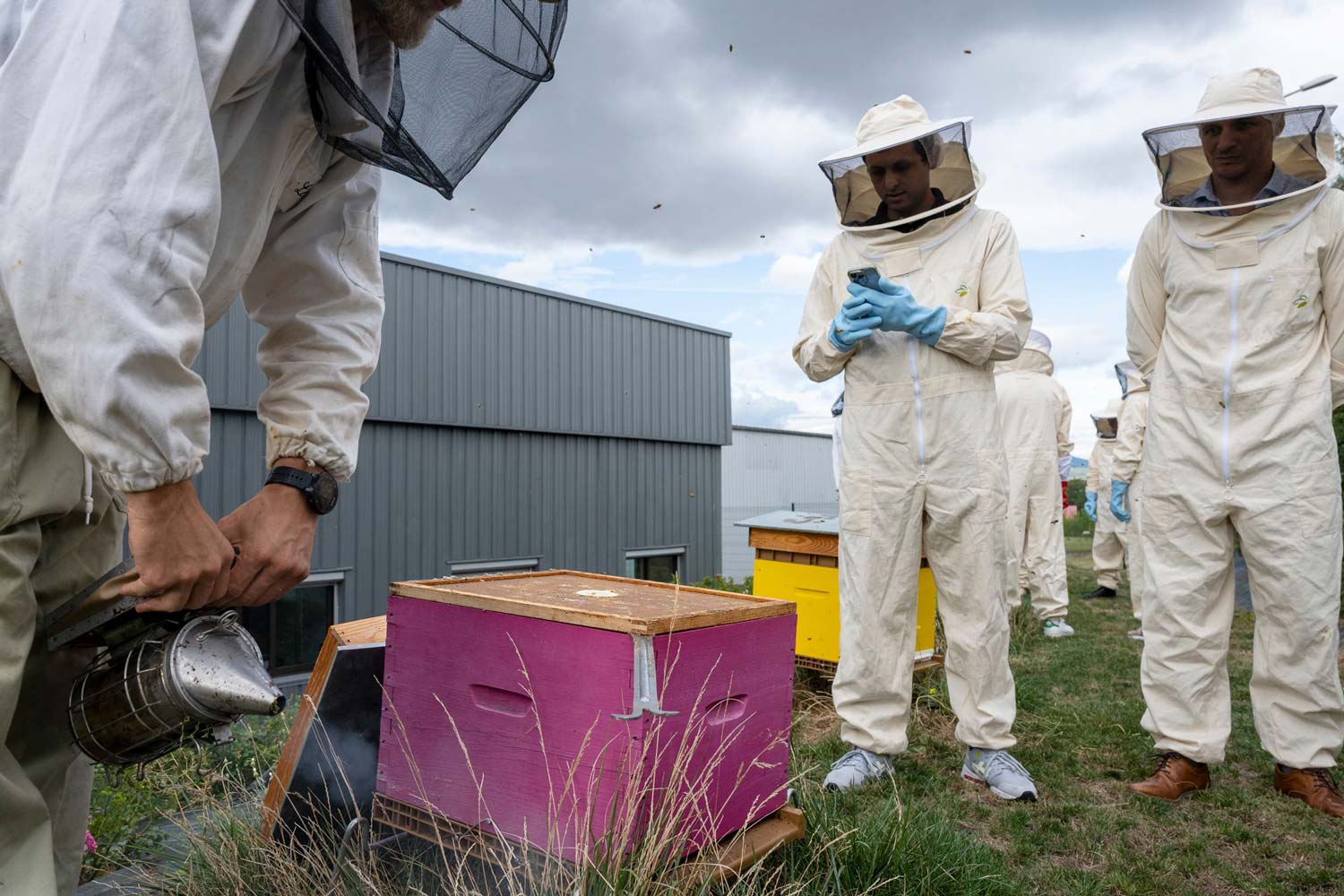 reportage photo entreprise apistil