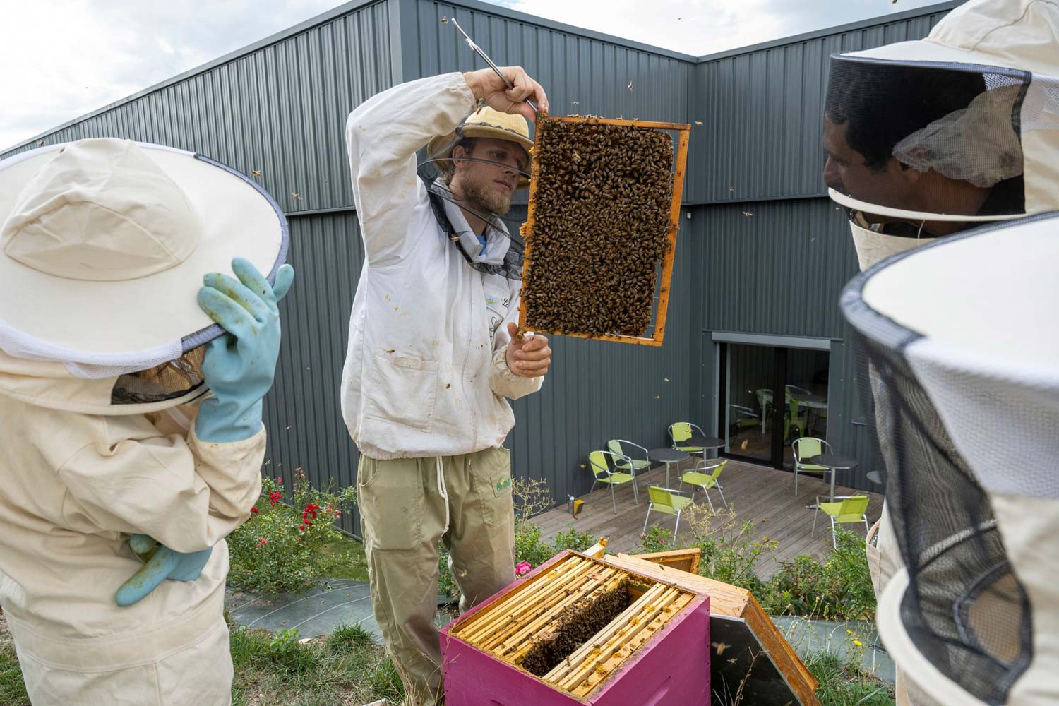 reportage photo entreprise apistil