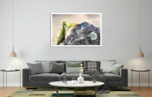 investissement photo art