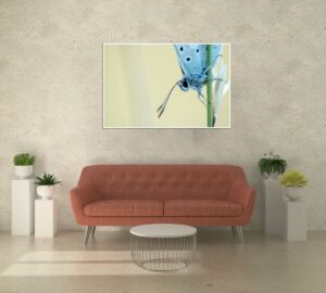 tirage d’art Noël