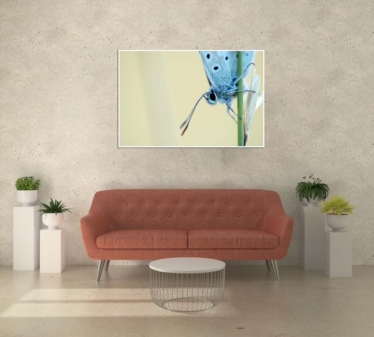 Lire la suite à propos de l’article Offrir des tirages d’art à Noël : un cadeau authentique et intemporel