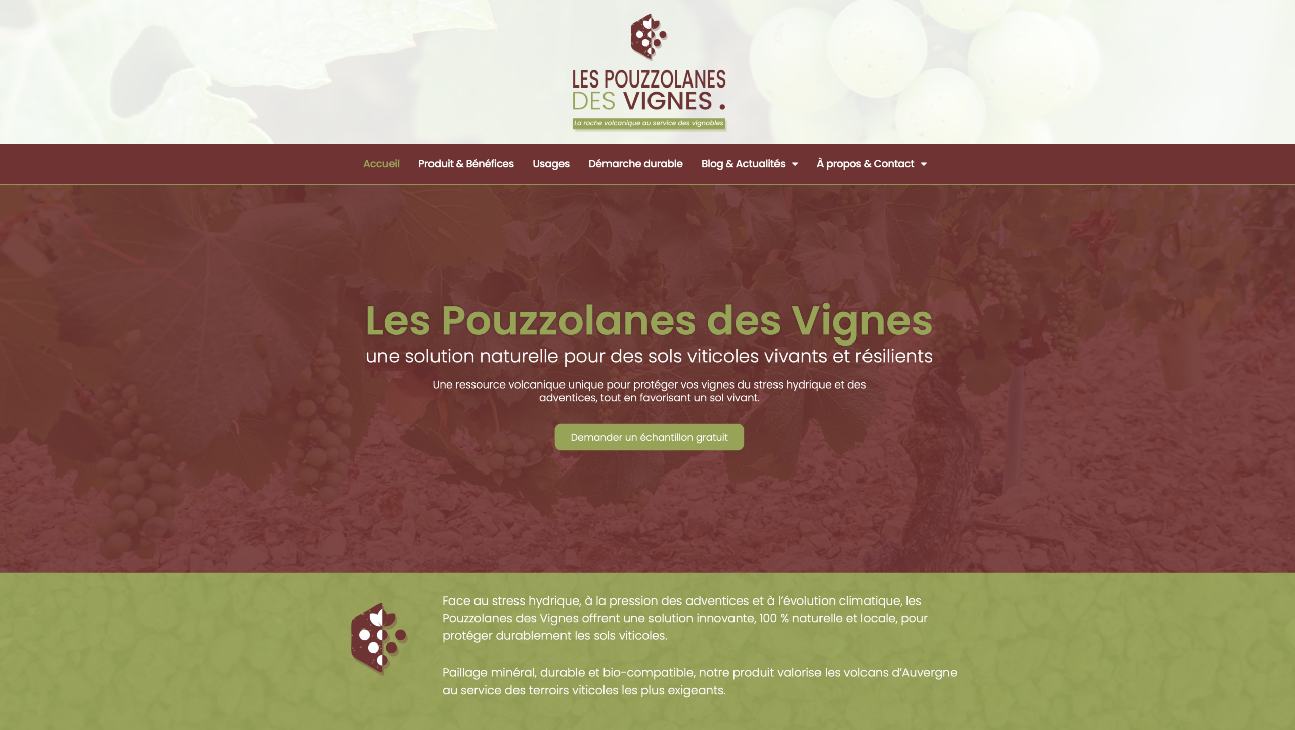 création site viticole