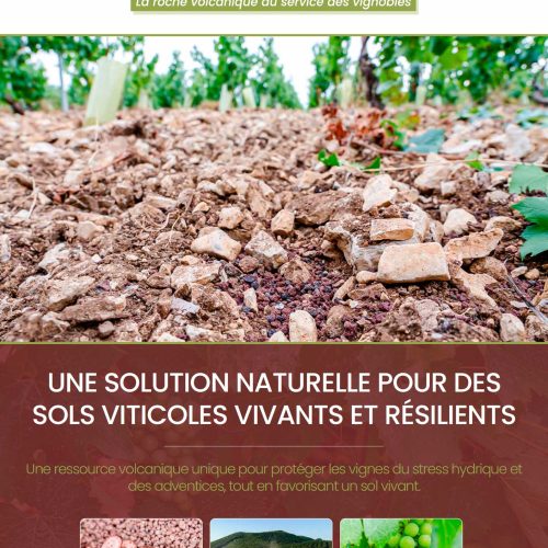 brochure pouzzolane viticole