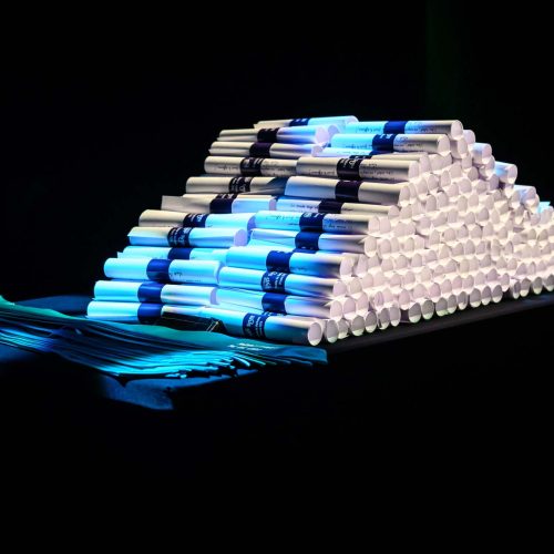 reportage photo remise des diplômes